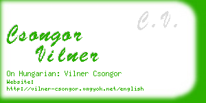 csongor vilner business card